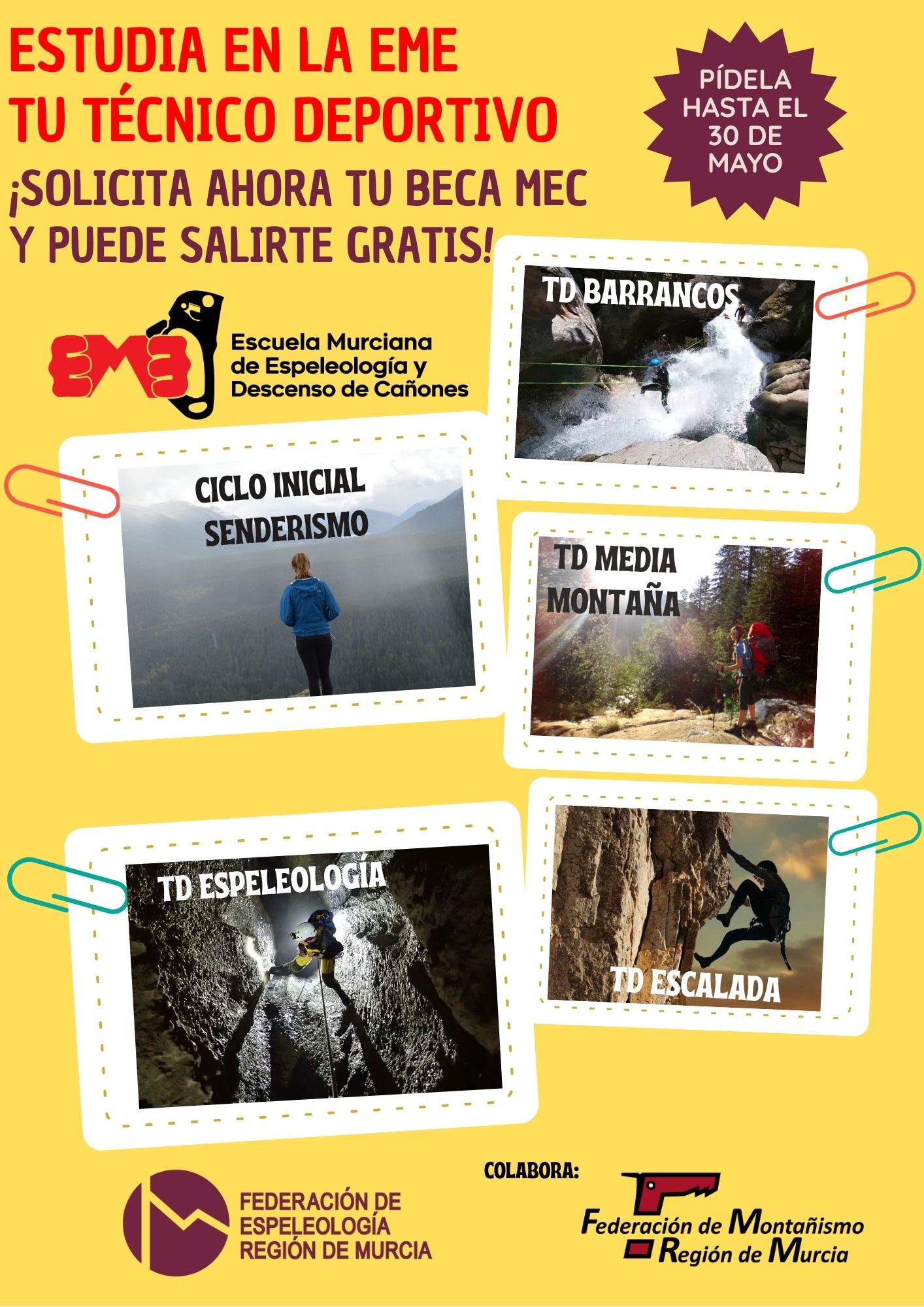 Cartel Publicidad TD Becas 2